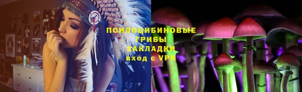 крисы Абдулино
