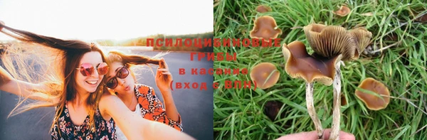 крисы Абдулино