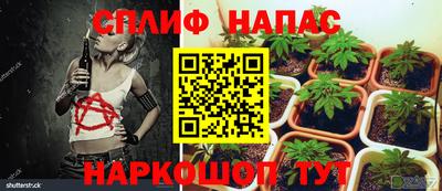 первитин Тверь