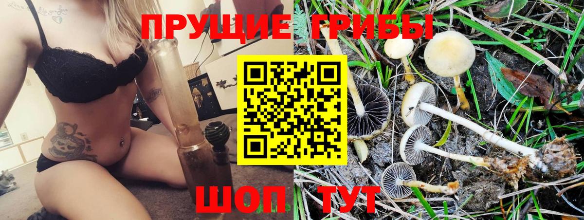 наркотики  Вход с VPN  Ростов-на-Дону  Псилоцибиновые грибы ЛСД  Галлюциногенные грибы Magic Shrooms 
