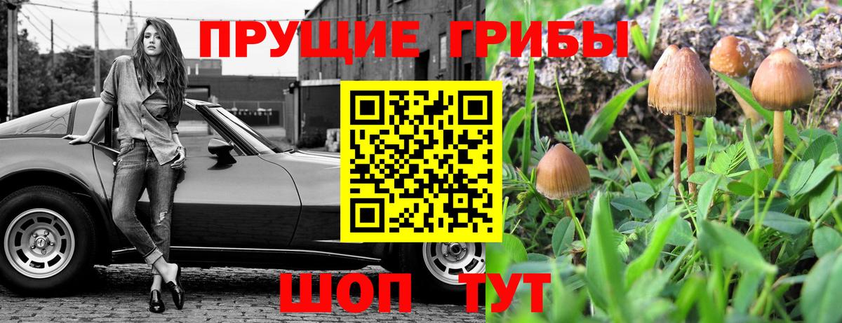 Псилоцибиновые грибы MAGIC MUSHROOMS Ростов-на-Дону